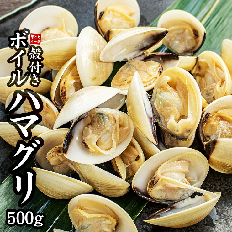 殻付きボイルハマグリ500g（加熱用）小ぶりなサイズですが濃厚な貝のダシが出ます 砂抜き済み お吸い物 バター焼き パスタ（蛤 はまぐり BBQ ひな祭り ひなまつり）[[殻付ボイルハマグリ]