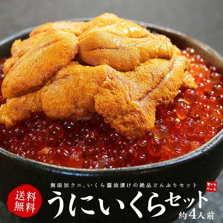 父の日 プレゼント ギフト 無添加うにイクラ丼4杯分 無添加生ウニとイクラ醤油漬け絶品海鮮丼 送料無料 お中元 2024 お返し 食べ物 刺身 手巻き寿司 おつまみ 海鮮セット 高級 詰め合わせ 60代…