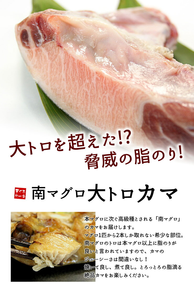南マグロ大トロカマ どっさり1キロ（4〜8片入）ジュワっとしたたるほどの脂のり 塩焼きや煮付けに（ギフト おつまみ ギフト 母の日 父の日 敬老の日肴 BBQ キャンプ）《pbt-km1》〈km1〉yd5[[大トロカマ1kg] ichijyo-10000022 まぐろ処 一条 サンプル画像2