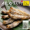 メヒカリ丸干し1.2kg(300g×4袋) 60尾前後 たっぷり脂ののった白身魚 お酒のお供に 常磐もの (肴 おつまみ 干物 ひもの 訳あり 海鮮 ギフト め...