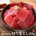 天然南マグロ切り落とし250g（2〜3人