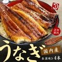【送料無料】鹿児島県産うなぎ長蒲焼き4本(160g〜170g...