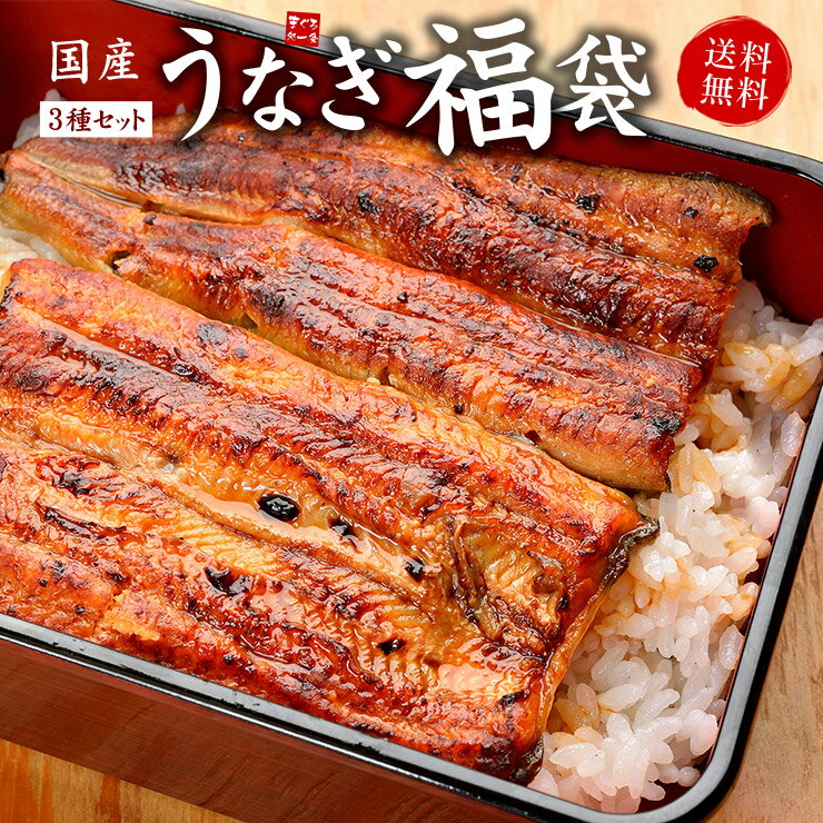 国産うなぎ福袋 長蒲焼き160〜170g、