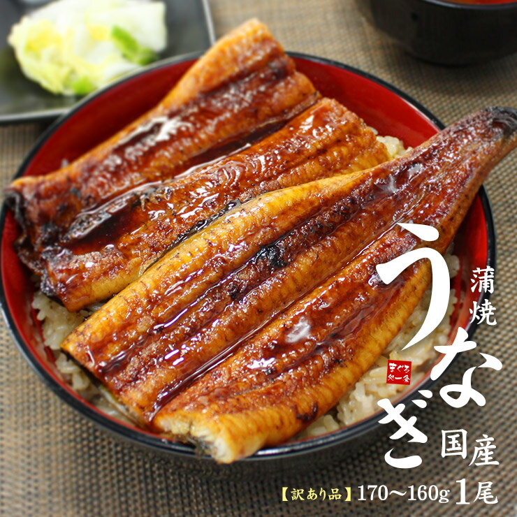 国産うなぎ長蒲焼き(160g〜170g)×1尾 訳あり品 タレ・山椒つき(お歳暮 お年賀 ギフト プレゼント 国産 国内産 土用の丑の日 誕生日 贈り物 御祝 ...