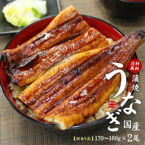 国産うなぎ長蒲焼き(160g〜170g)×2尾セット 訳あり品 タレ・山椒つき 送料無料 （ギフト 母の日 父の日 プレゼント 贈り物 グルメ 国産 国内産 土用の丑の日 御祝 内祝 誕生日）《eel-ue1》〈ue1〉yd9[[ウナギ長蒲焼き-2p]