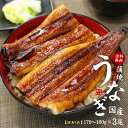 まぐろ処 一条 うなぎ 国産うなぎ長蒲焼き(160g〜170g)×3尾セット 訳あり品 タレ・山椒つき 送料無料 （ギフト 母の日 父の日 国産 国内産 土用の丑の日 プレゼント 内祝 誕生日 贈り物）《eel-ue1》yd9[[ウナギ長蒲焼き-3p]