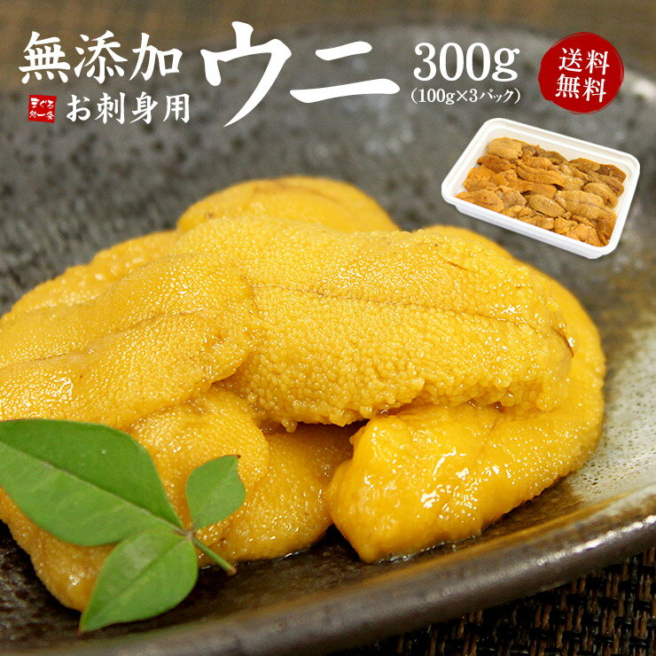 完全無添加ウニ（うに、雲丹）生うに 300g（100g×3パック）送料無料 ...