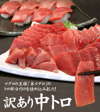 【送料無料】本マグロ訳あり中トロどっさり1kg！脂がのったトロ部分のみお届け！（わけあり 刺身 メガ盛り まぐろ 鮪 母の日 父の日）《pbt-bf10》〈bf1〉[[訳あり中トロ1kg]