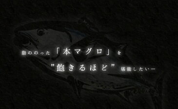 【送料無料】本マグロ訳あり中トロどっさり1kg！脂がのったトロ部分のみお届け！（わけあり 刺身 メガ盛り まぐろ 鮪 母の日 父の日 誕生日 宅飲み 家飲み 手巻き寿司）《pbt-bf10》〈bf1〉yd5[[訳あり中トロ1kg]