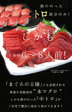 【送料無料】本マグロ訳あり中トロどっさり1kg！脂がのったトロ部分のみお届け！（わけあり 刺身 メガ盛り まぐろ 鮪 母の日 父の日 誕生日 宅飲み 家飲み 手巻き寿司）《pbt-bf10》〈bf1〉yd5[[訳あり中トロ1kg]