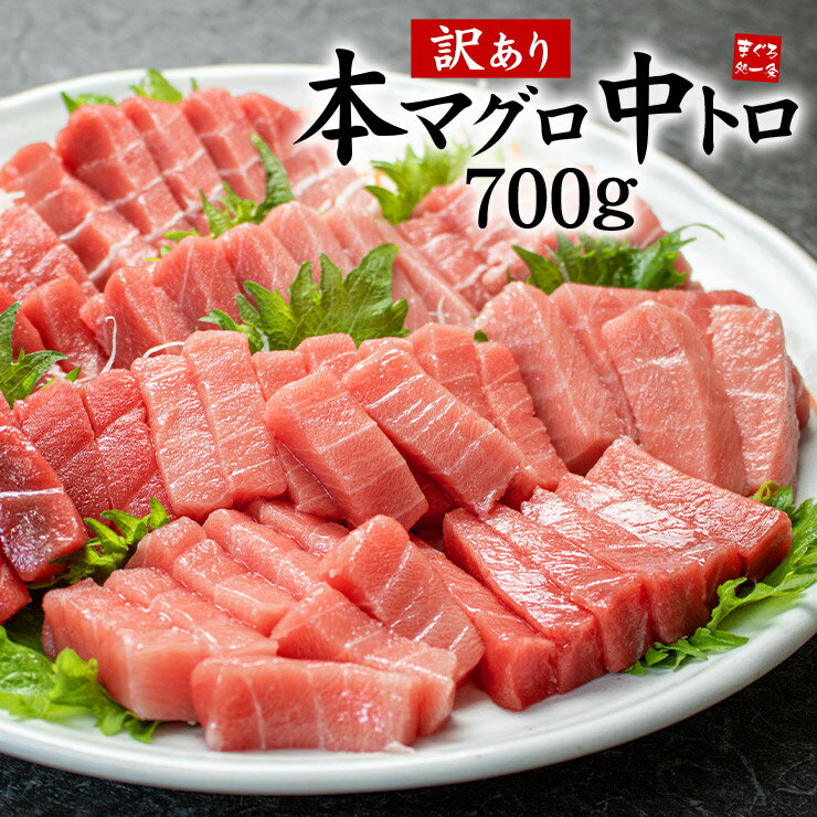 訳あり 本マグロ 中トロ 700g 脂がの