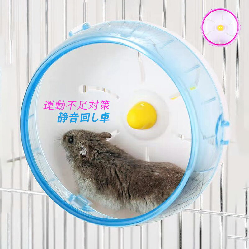 AAAZMŷԾŹ㤨ֲ󤷼  ϥॹ󤷼 ȥۥ ư­к ưʪ ư Ų󤷼  Ų ǥϥॹ åȥۥ ǥ ɥեϥॹ ڥå ȥ쥹 ϥॹ ۥ ˥󥰥ۥ  䤹 4פβǤʤ1,990ߤˤʤޤ