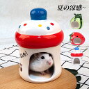 ハムスター ハウス ハムスターベッド 陶器 涼感 ハムスターハウス スイカ イチゴ 哺乳瓶 小屋 夏対策 ひんやり ベッド おへや ハムスターケージ リス 寝床...