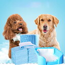 ペットシーツ 薄型 業務用 犬猫用 犬 猫 全犬種 スーパーワイド ペットシート レギュラー ワイド トイレシート 厚型 まとめ買い デオシート ペット シーツ 大容量 S M L XL 1回使い捨て 高い吸水性能 脱臭 シート 臭気制御 吸収 スピード吸収 漏れ防止 ペット用品