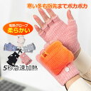 電熱グローブ レディース メンズ 電熱手袋 バイク 暖かい 防寒 男女兼用 ヒーターグローブ ヒーター手袋 指なし 自転車 USB給電 冬 滑り止め 防風 防寒...