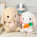 おもちゃ ぬいぐるみ 抱き枕 うさぎ 抱きまくら おもしろ かわいい ウサギ クッション 女子 柔らかめ 癒し系 昼寝枕 動物 子供の日 飾り 可愛い 贈り物 添い寝枕 小さい 大きい サイズ 子供 女の子 誕生日 プレゼント 面白い 入学 卒業 女性 ギフト 飾る 2024 お歳暮 ギフト