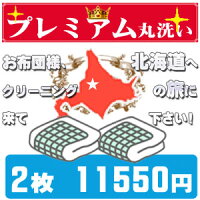 布団クリーニングクリーニング丸洗い2枚【送料無料布団丸洗い】ふとんクリーニング羽毛布団羊毛布団