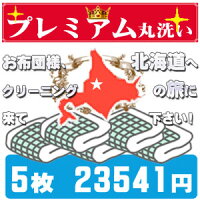布団クリーニングクリーニング丸洗い5枚セット【送料無料布団丸洗い】ふとんクリーニング羽毛布団羊毛布団