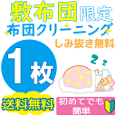 敷布団限定 布団クリーニング 丸洗い 1枚【送料無料】 ふとんクリーニング 羽毛布団 羊毛布団