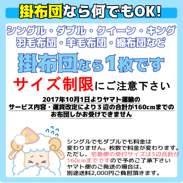布団クリーニング 布団丸洗い≪2枚≫ランキング1位!××敷布団不可×× ふとんクリーニング 羽毛布団 羊毛布団 こたつ布団 送料無料お買い物マラソン!