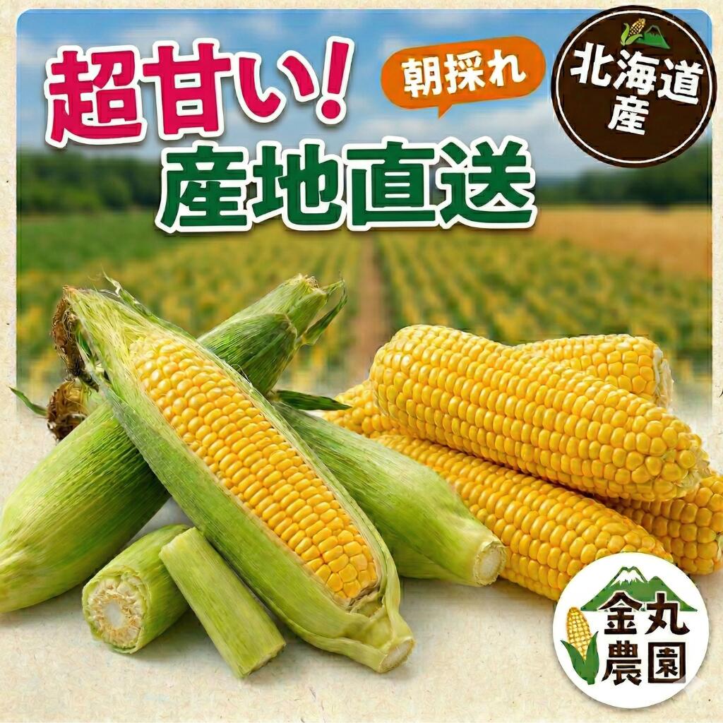 【予約】北海道産 とうもろこし 朝採れ (約13〜25本) 送料無料 産地直送 トウモロコシ スイートコーン とうきび 生で食べられる 極甘 糖度17度以上 フルーツコーン ジャンボサイズ 特大 ギフト お中元 御中元 お取り寄せ グルメ バーベキュー BBQ クール冷蔵便