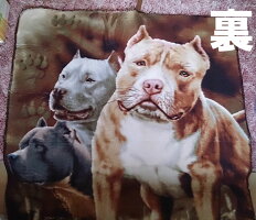 【送料無料】ピットブル柄のフリースブランケット|PitbullsFleeceThrowSignature