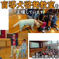 クーポンで15%OFF♪北海道産★鹿の角★犬のおもちゃ15〜25cm大型犬〜中型犬『角王(つのおう)』送料無料誕生日プレゼントやしつけ・いたずら防止にエゾシカ!犬のおやつドッグガムデンタルケア蝦夷鹿【坂上と指原のつぶれないお店で紹介】口臭対策にリピート続出の鹿角