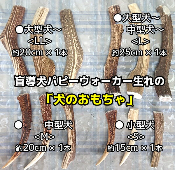 ナニコレ珍百景登場★犬のおもちゃ鹿の角★北海道産20〜25cm★大型犬〜中型犬用送料無料 誕生日プレゼントやしつけ/いたずら/甘噛み防止に！犬のおやつドッグガムデンタルケア 蝦夷鹿 口臭対策グッズリピート続出のエゾシカ鹿角『角王(つのおう)』サステナブル・SDGs