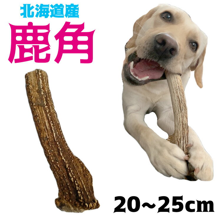 北海道産★鹿の角　20~25cm犬のおもちゃ 中型犬 大型犬『角王(つのおう)』送料無料 誕生日プレゼントやしつけ・いたずら防止にエゾシカ！犬のおやつドッグガムデンタルケア 蝦夷鹿 口臭対策グッズリピート続出の鹿角