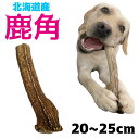 北海道産★鹿の角★20〜25cm大型犬〜中型犬用犬のおもちゃ 送料無料 誕生日プレゼントや