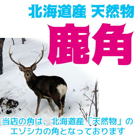 北海道産★鹿の角　20~25cm犬のおもちゃ 中型犬 大型犬『角王(つのおう)』送料無料 誕生日プレゼントやしつけ・いたずら防止にエゾシカ！犬のおやつドッグガムデンタルケア 蝦夷鹿 口臭対策グッズリピート続出の鹿角