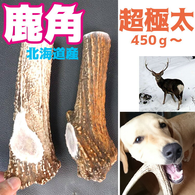 鹿の角 犬のおもちゃ 北海道産 ★極太★ 約20cm【送料無料】犬のおやつ 大型犬 中型犬 エゾシカの角 誕生日プレゼント 鹿角 スタグバー｜ドッグガム｜デンタルケア　無添加 deerhorn