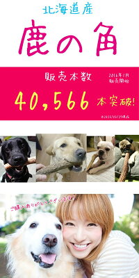 北海道産★特大★鹿の角〜25cm【送料無料】犬のおもちゃ/犬のおやつ大型犬〜中型犬『角王(つのおう)』誕生日プレゼントやしつけ・いたずら防止に鹿角!スタグバー|ドッグガム|デンタルケア無添加エゾシカ蝦夷鹿deerhorn