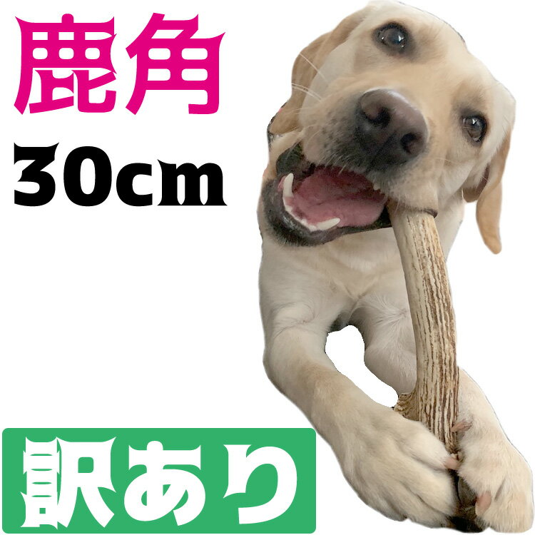 【訳あり】北海道産★鹿の角★大型犬〜中型犬用　犬のおもちゃ 送料無料 誕生日プレゼントやしつけ・いた ...