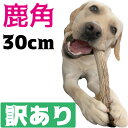 【訳あり】北海道産★鹿の角★大型犬〜中型犬用　犬のおもちゃ 送料無料 誕生日プレゼントやしつけ・いた ...