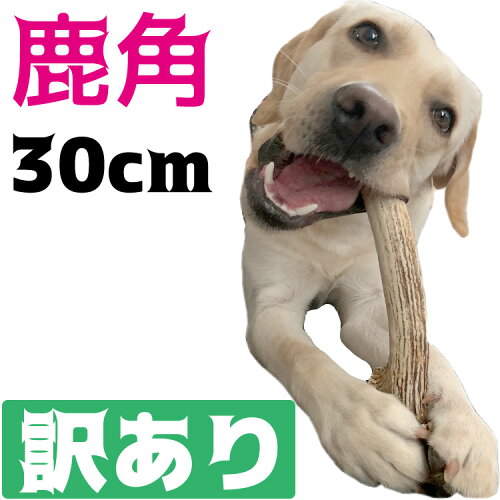 北海道産　大型犬喜ぶ頑丈な犬のおもちゃ　本能のままにしゃぶりつく...