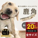 【11/15★24h限定20%OFF＋ポイント10倍】犬のおもちゃ 鹿の角 大型犬～中型犬用 北海道産 20～25cm 送料無料 デンタルケア プレゼント しつけ いたずら 甘噛み防止に！犬のおやつ ドッグガム 蝦夷鹿 口臭対策 エゾシカ鹿角 カムイ鹿角