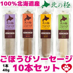 https://thumbnail.image.rakuten.co.jp/@0_mall/ichikawa929/cabinet/dogcollars/sausage/4main2.jpg