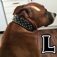 【全8色】スタッズ・スパイクレザー首輪カラー幅5cm(40cm-61cm)革【送料無料】中型犬〜大型犬用