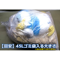 ぬいぐるみクリーニング【大】1体(75cm×80cm以内45Lゴミ袋に入る大きさ)