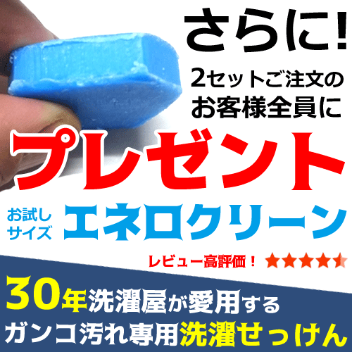 シャボン玉石けん★洗たく槽クリーナー 500g×2袋 【送料無料】洗濯槽クリーナー　洗濯機