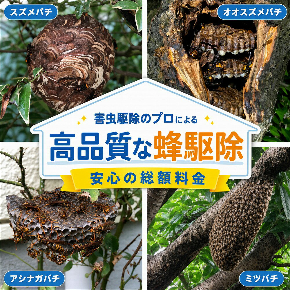 【安心の総額料金】東京・神奈川・千葉 対応 訪問 蜂駆除 ｜ 蜂 スズメバチ オオスズメバチ アシナ ...