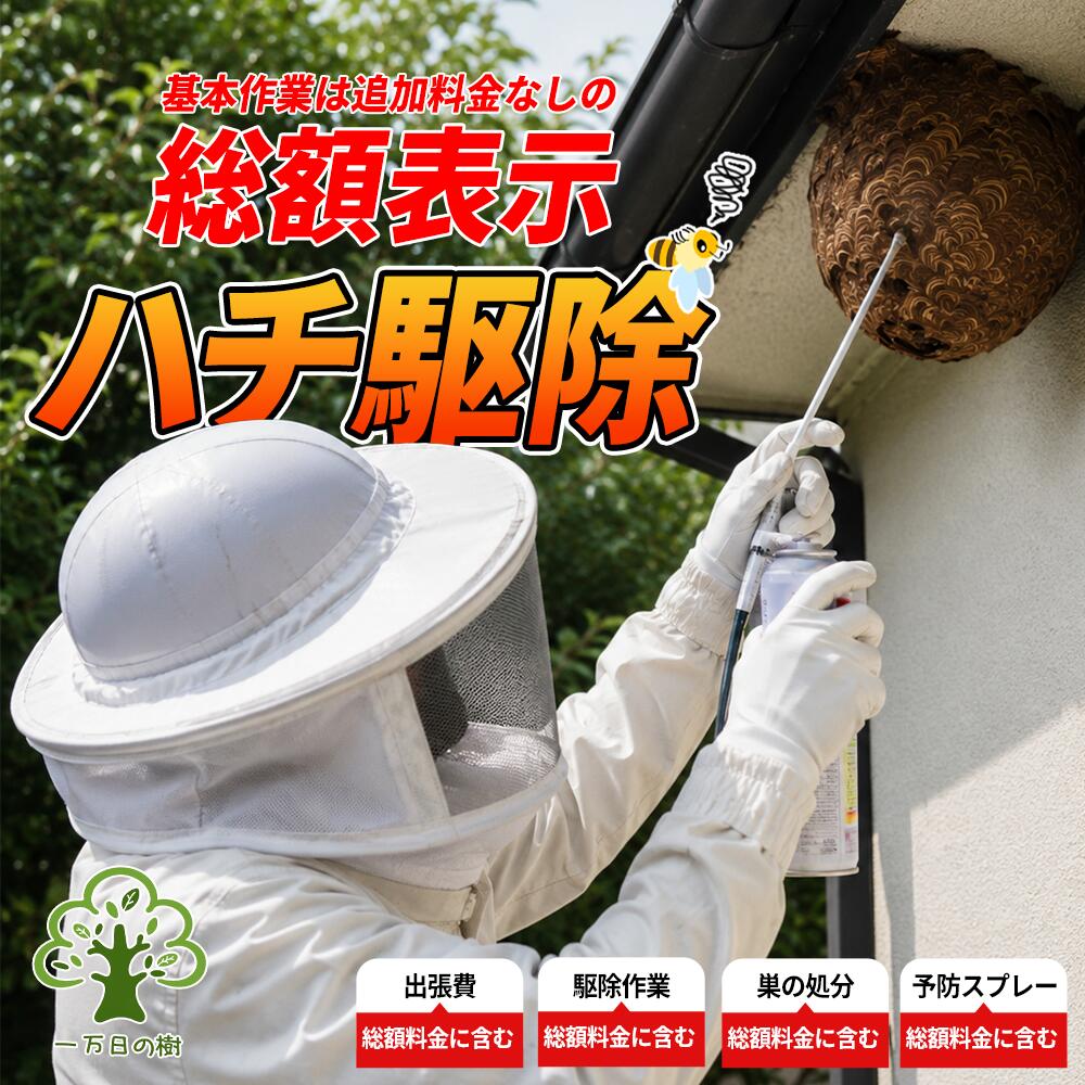 【安心の総額料金】東京・神奈川・千葉 対応 訪問 蜂駆除 ｜ 蜂 スズメバチ オオスズメバチ アシナ ...