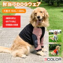 犬 肘当て サポーター Tシャツ 床ずれ プロテクター 関節保護 肘だこ 傷舐め防止 おしゃれ かわいい 夏 安い 着せやすい 大型犬 超大型犬 春 夏