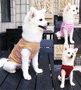 【マラソン期間中ポイント5倍!】犬 服 春 夏 ボーダー タンクトップ マリン マリンルック シンプル おしゃれ かわいい 涼しい クール 暑さ対策 熱中症対策...