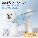 【マラソン期間中当店ポイント5倍実施中】犬 服 クールベスト D環付き 夏 クールウェア 冷感 涼感 冷却 ひんやり 熱中症対策 暑さ対策 散歩 冷え冷え 絞るだけ 簡単 小型犬 中型犬