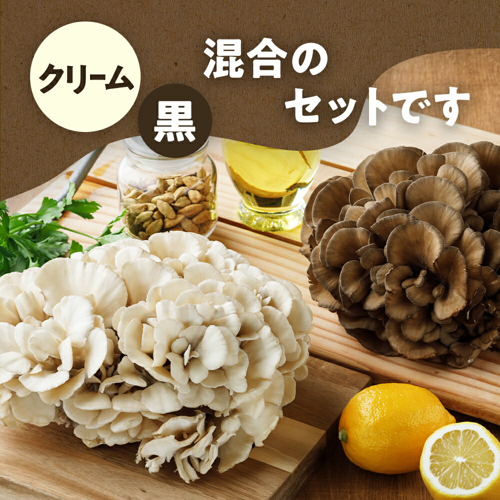 【2,310円⇒1,848円 さらに期間限定最大15%OFFクーポン！】【 ビタミンD 舞茸 希なり ビタミンD 舞茸 100g 2種6個セット】 まいたけ 新潟県産 無農薬 化学肥料 不使用 白舞茸 お取り寄せグルメ 人気 きのこ キノコ 大容量 国産 高級 しいたけ いちまさ 一正蒲鉾