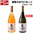日本酒 アルコール度数 46度 越後さむらいセット 720ml 2本セット 送料込み【新潟の地酒】 辛口 お酒 父の日 母の日 誕生日 お中元 御中元 お歳暮 ...