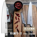 【名入れ無料】堺一文字光秀 特鋼 牛刀 【送料無料】 包丁 牛刀 キッチン 送料無料 ギフト包装無料 プレゼント 贈り物 結婚祝い