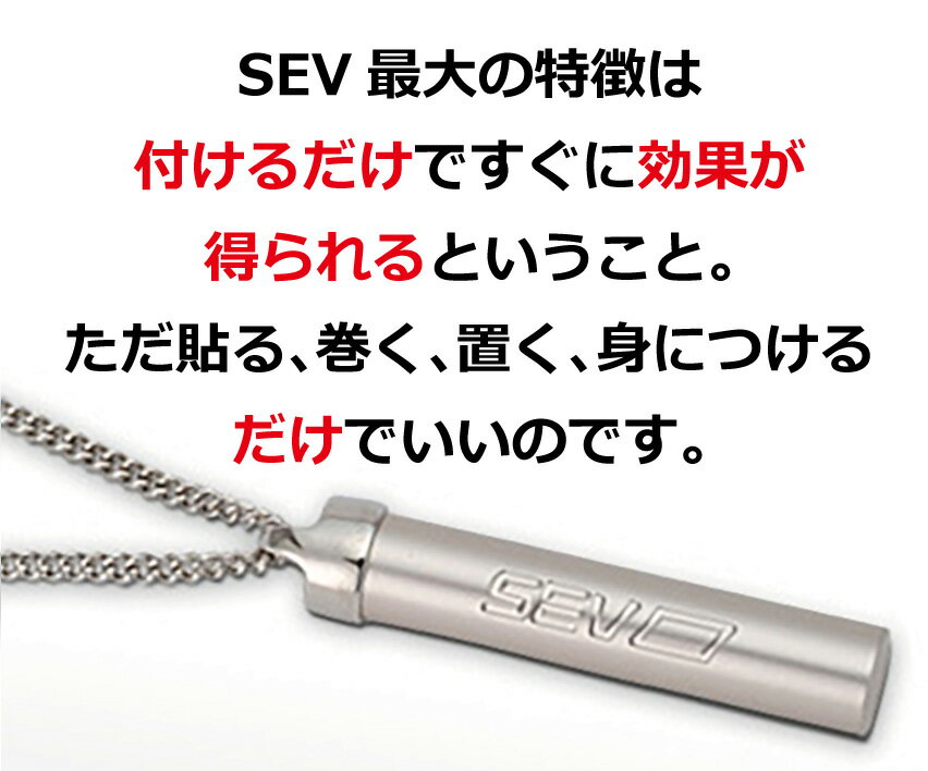 楽天市場】【送料無料】SEV メタルバーチカルV2 ネックレス/sports 
